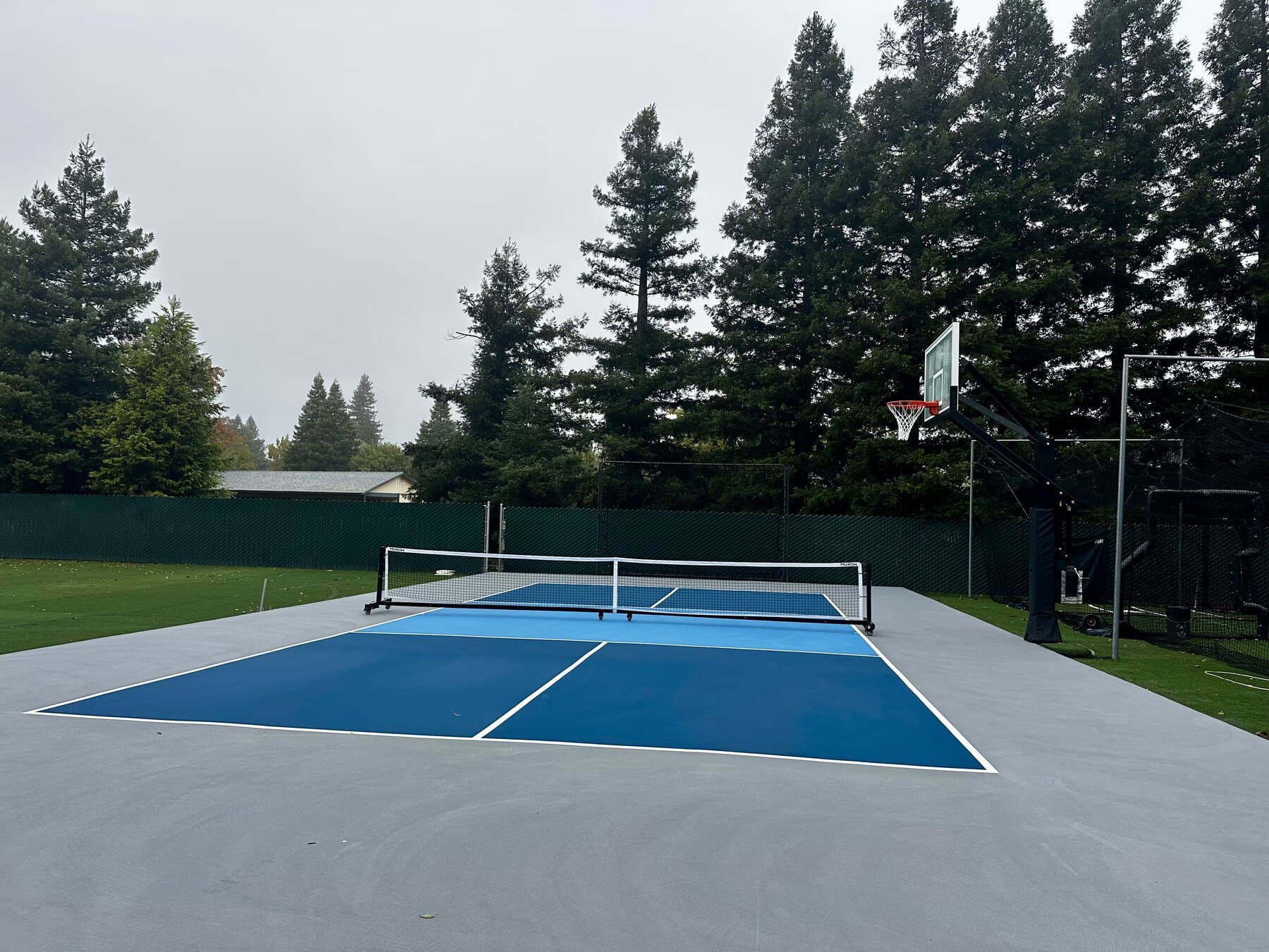 Blue pickleball court with a basketball hoop at one end and redwoods behind