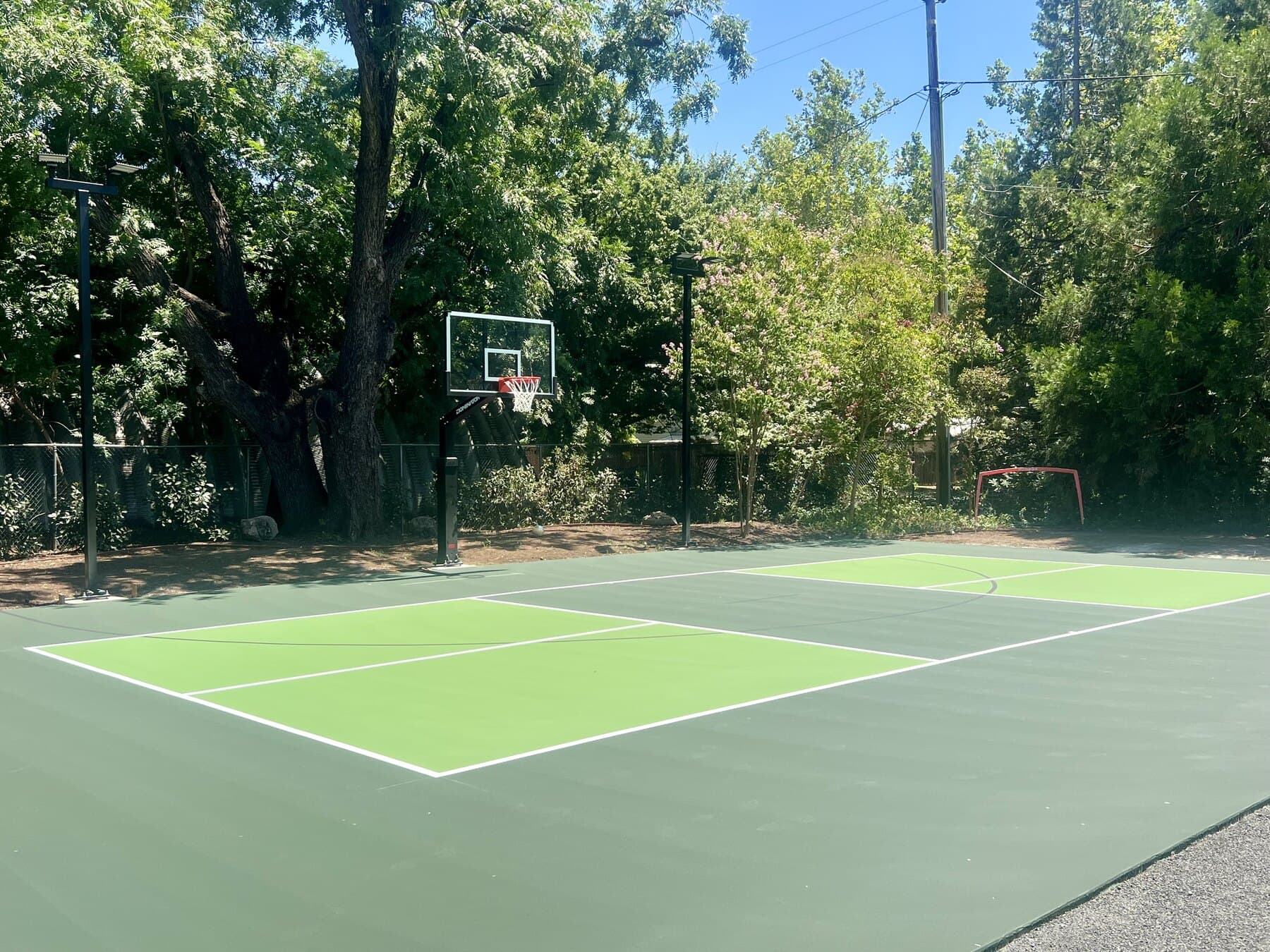 Green multi-sport court with a basketball hoop and court lights under oak trees